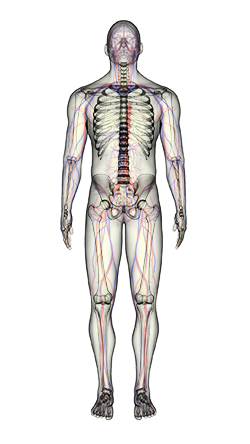 la nef tours radiologie