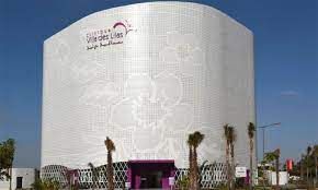 Clinique Villa des Lilas