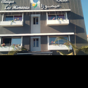 Clinique Les Mimosas